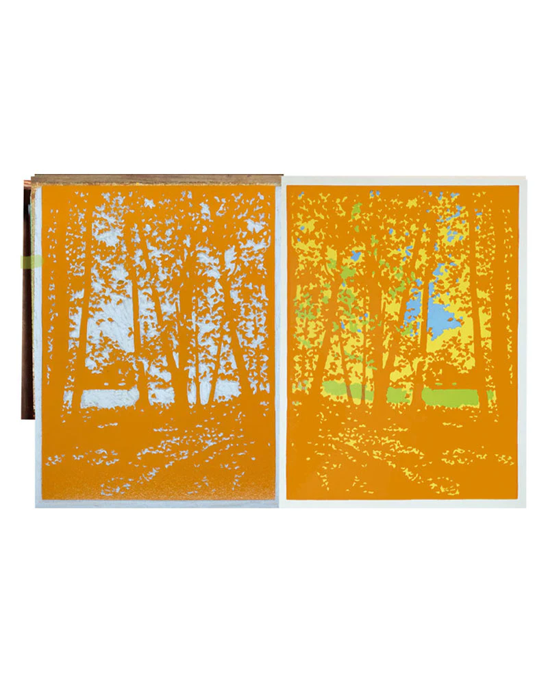 Laura Wilder Autumn Woods Limited Edition Framed Matted Block Print - Image 4